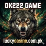 DK222 Game
