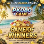 PK080 Game