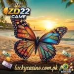ZD22 Game