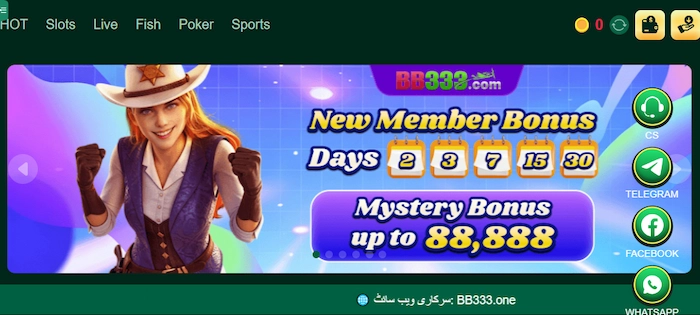 BB333 Game