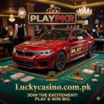 PLAYPKR Game