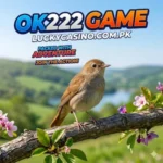 OK222 Game