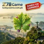 Z78 Game