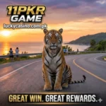 11PKR Game