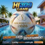 Hi309 Game